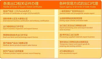 聚焦外贸服务一体化 专业代理报关与商贸对接新路径
